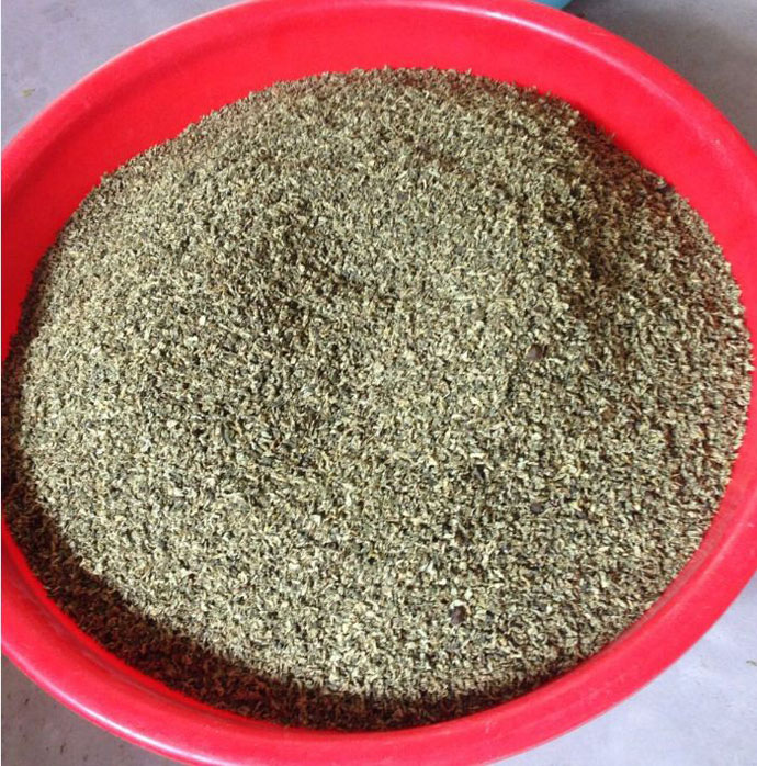 荷葉茶和棗葉茶試機(jī)生產(chǎn)成果展示